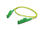 View this ad