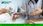View this ad