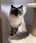 View this ad
